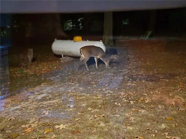 $110,000 | 22805 Cc Highway, Warsaw, MO 65355