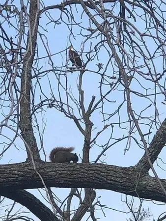 $99,000 | 22805 Cc Highway, Warsaw, MO 65355