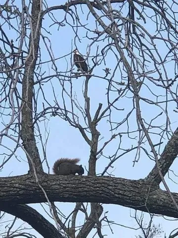 $110,000 | 22805 Cc Highway, Warsaw, MO 65355