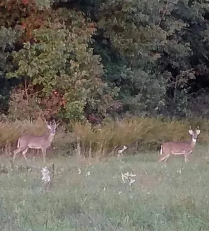 $99,000 | 22805 Cc Highway, Warsaw, MO 65355