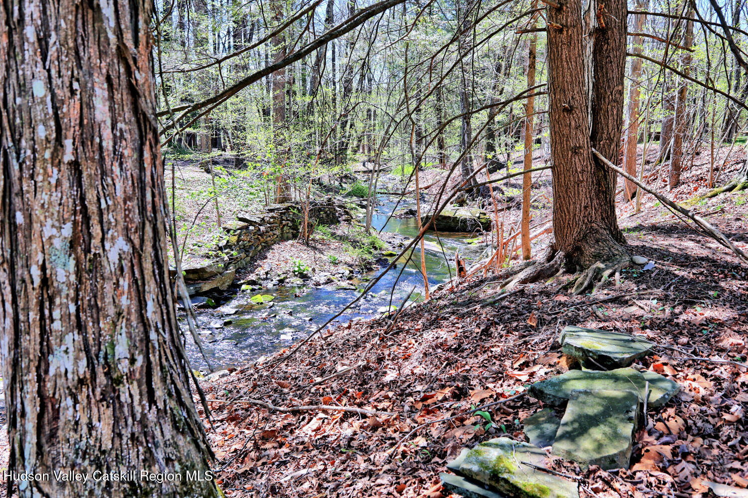 63 Meadow Road Cairo, NY 12413 - Photo 75 of 90 9zzo