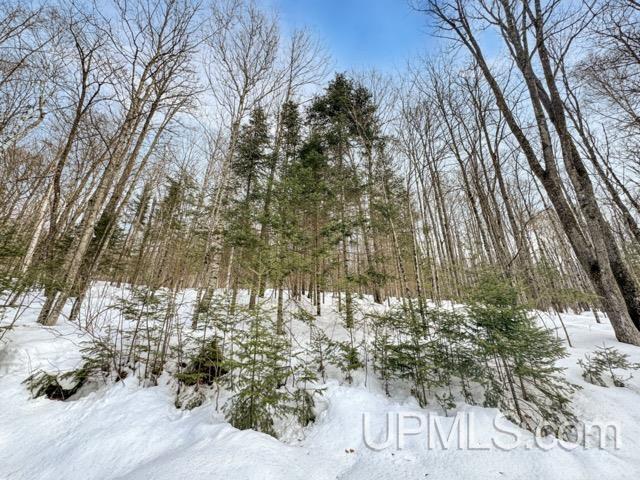 176 East Lake Emily Road Crystal Falls, MI 49920 - Photo 13 of 17