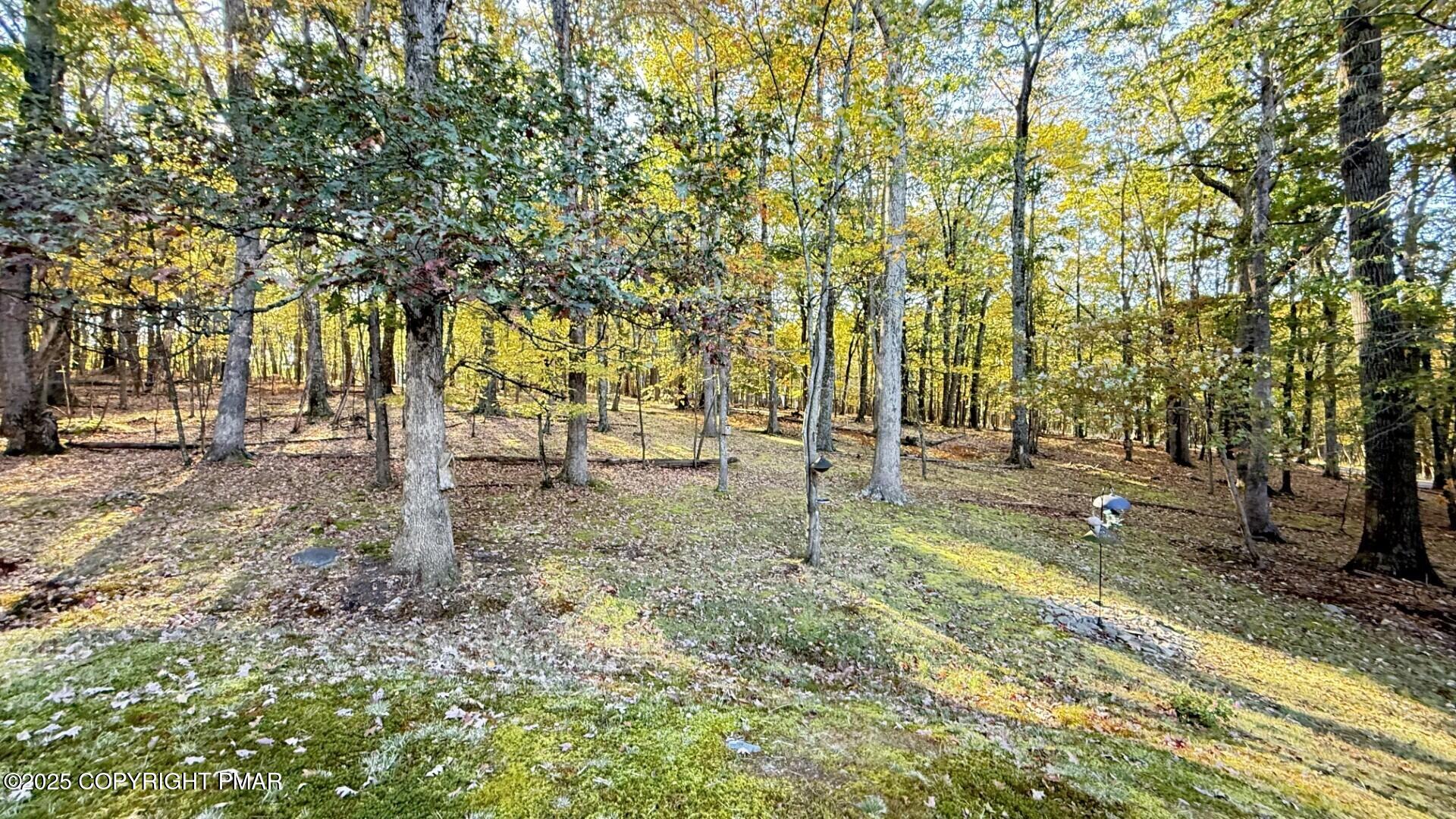 2119 Meadow Lark Circle Bushkill, PA 18324 - Photo 28 of 34 a view of yard with trees
