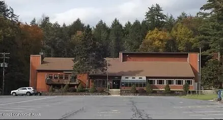 a view of a swimming pool with lawn chairs and plants