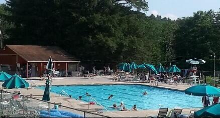 2119 Meadow Lark Circle Bushkill, PA 18324 - Photo 34 of 34 a view of a swimming pool with lawn chairs and plants