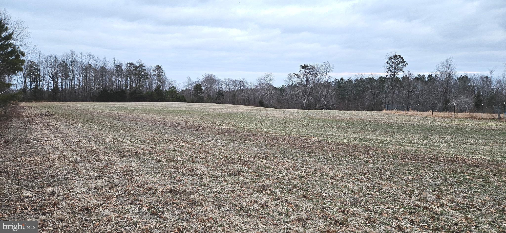 2033 Courthouse Road Heathsville, VA 22473 - Photo 30 of 50 a view of an outdoor space with trees all around
