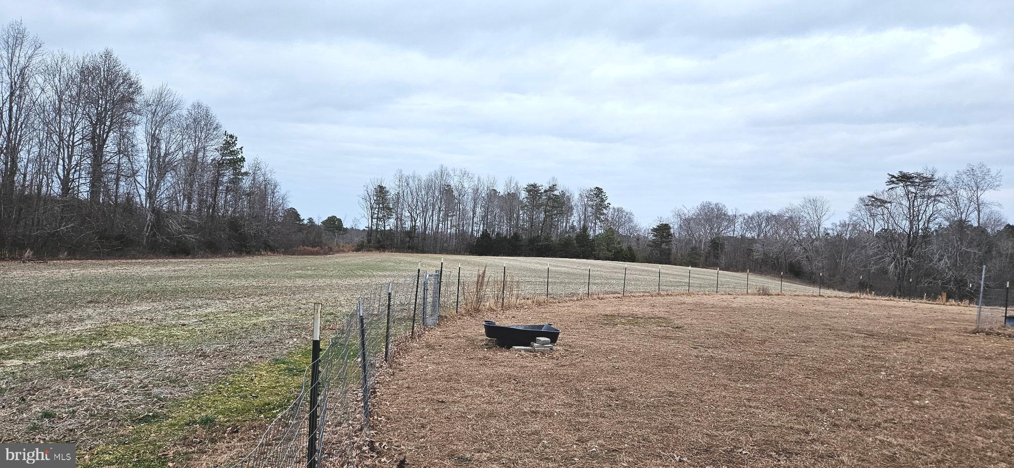 2033 Courthouse Road Heathsville, VA 22473 - Photo 41 of 50 a view of a dry yard with trees