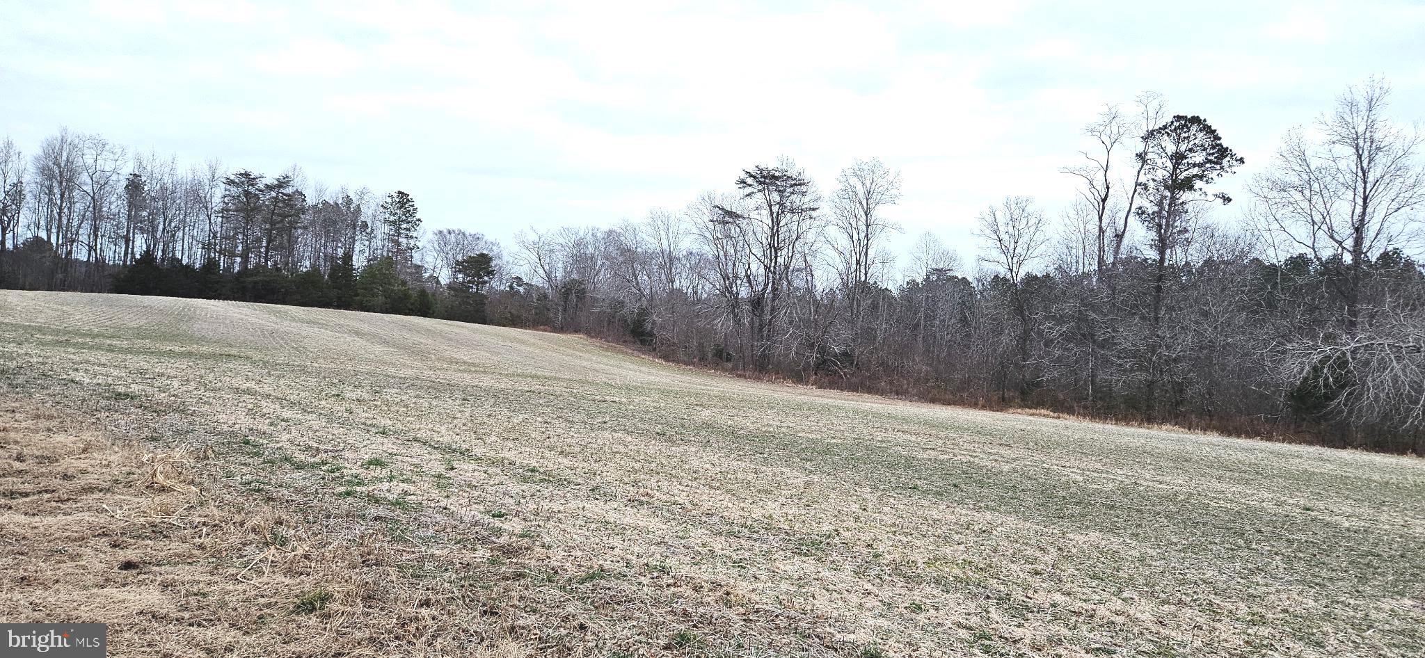 2033 Courthouse Road Heathsville, VA 22473 - Photo 43 of 50 a view of dirt yard with trees in the background