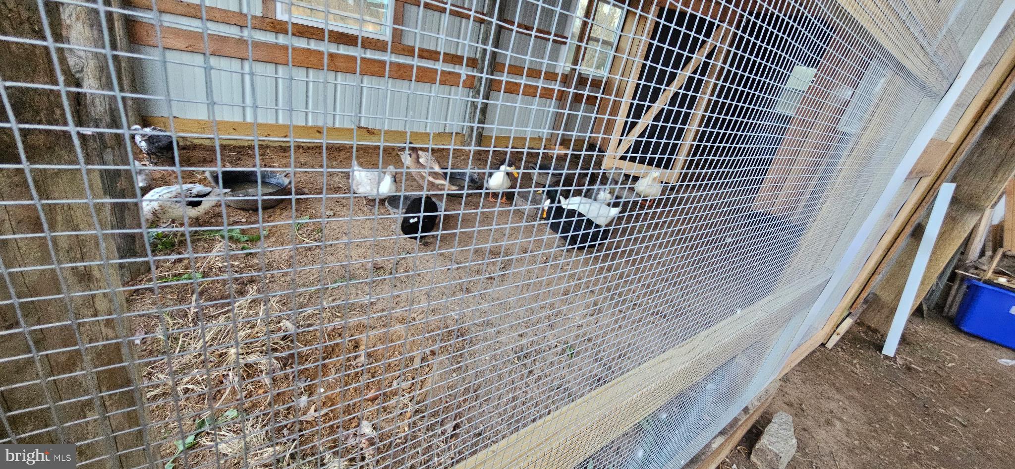2033 Courthouse Road Heathsville, VA 22473 - Photo 45 of 50 a view of outdoor space with building and glass windows