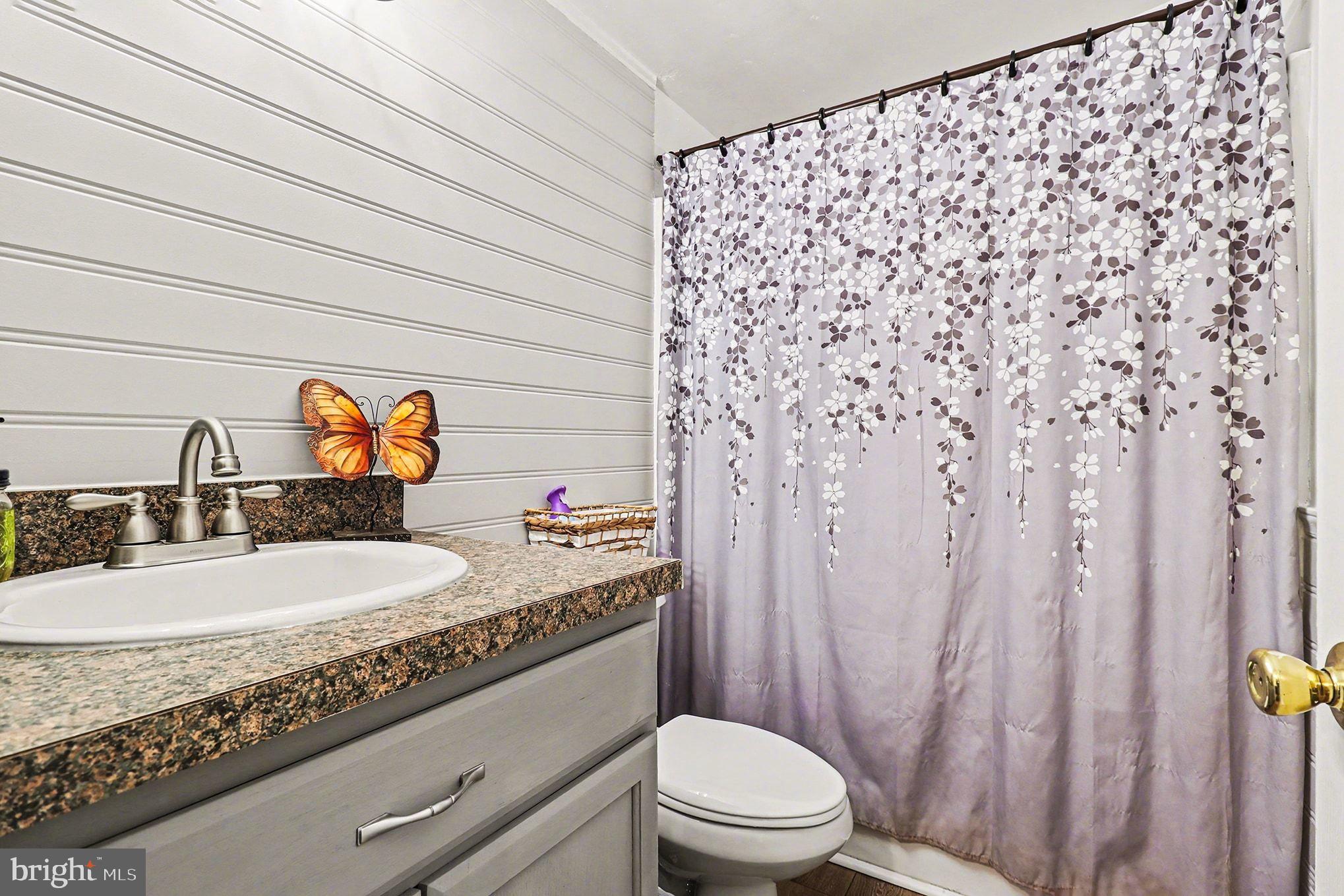 2033 Courthouse Road Heathsville, VA 22473 - Photo 8 of 50 a bathroom with a granite countertop sink and a mirror with toilet