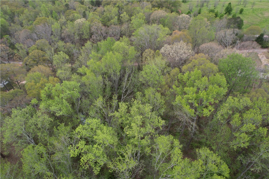 115 Dowell Road Anderson, SC 29626 - Photo 5 of 11
