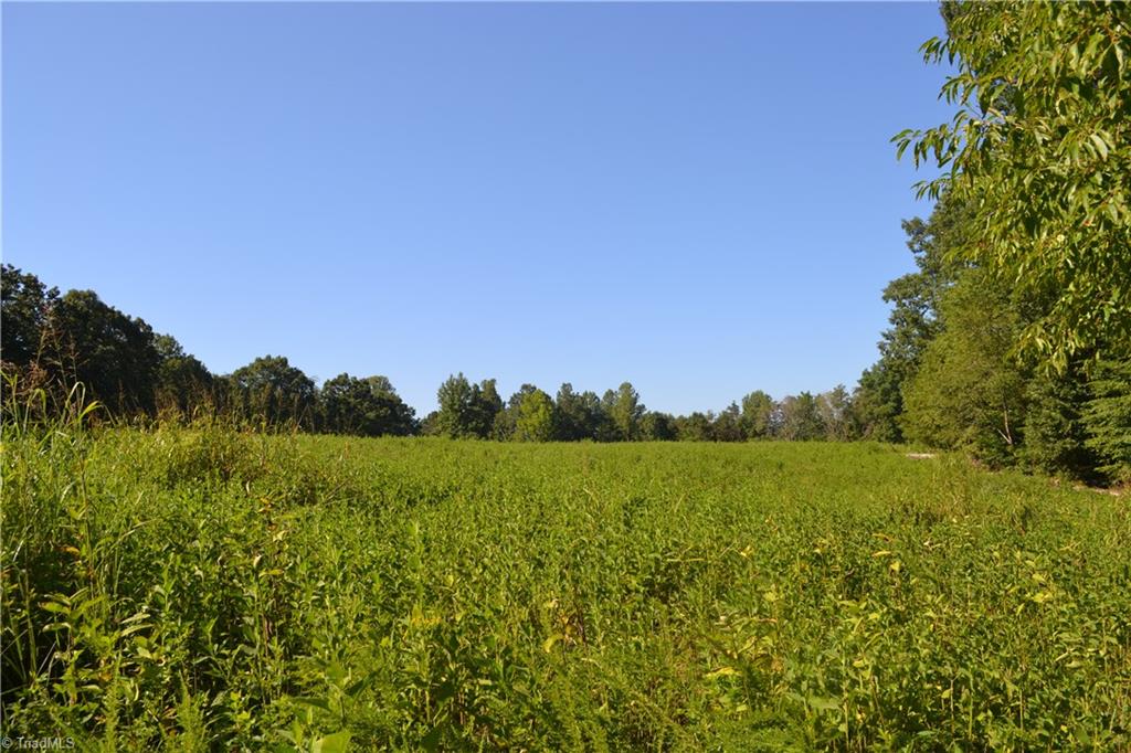 0 Beeson Road Eden, NC 27288 - Photo 6 of 12 Gallery Image 6