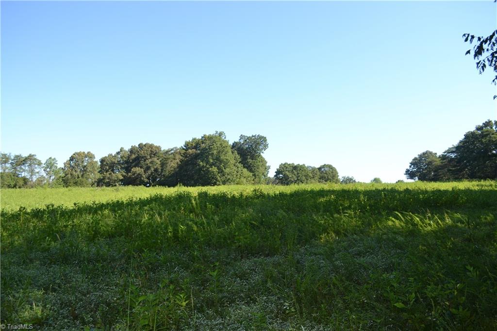 0 Beeson Road Eden, NC 27288 - Photo 7 of 12 Gallery Image 7