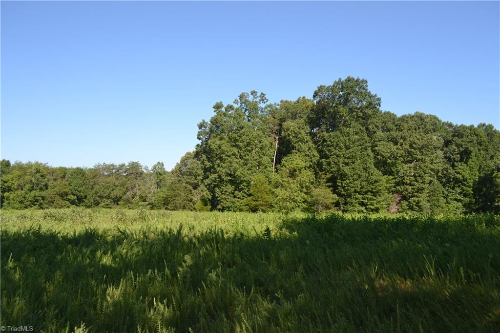 0 Beeson Road Eden, NC 27288 - Photo 8 of 12 Gallery Image 8
