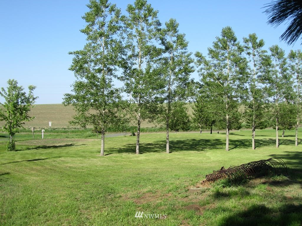 818 Lewis Gulch Road Dayton, WA 99328 - Photo 24 of 29