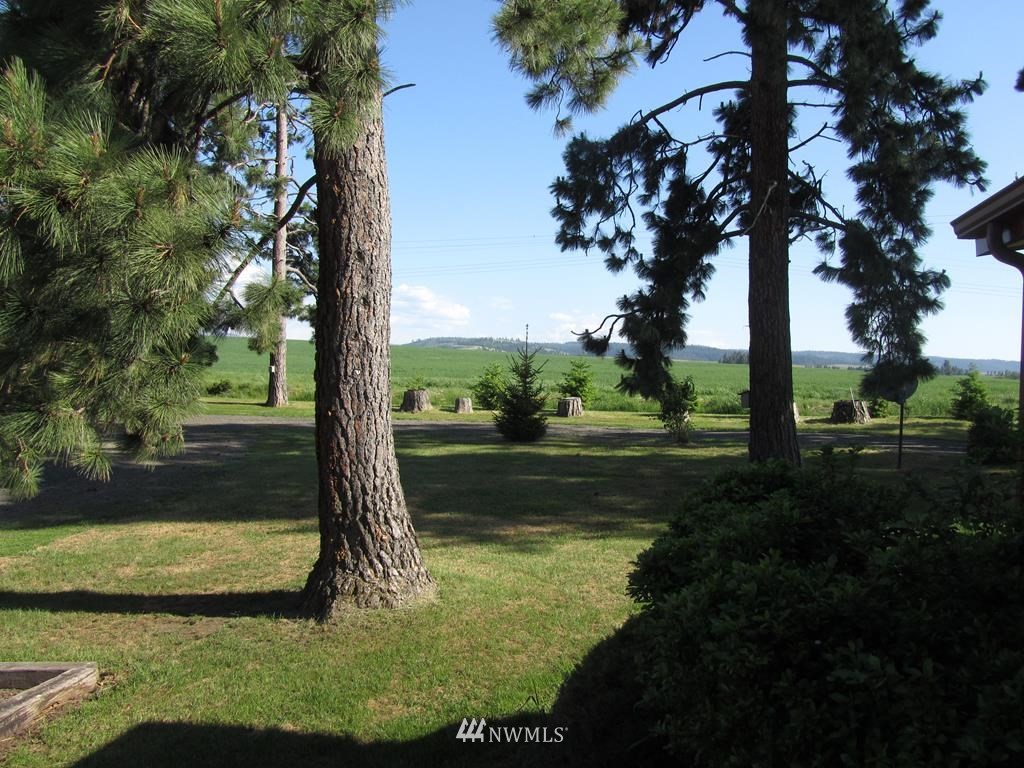 818 Lewis Gulch Road Dayton, WA 99328 - Photo 25 of 29