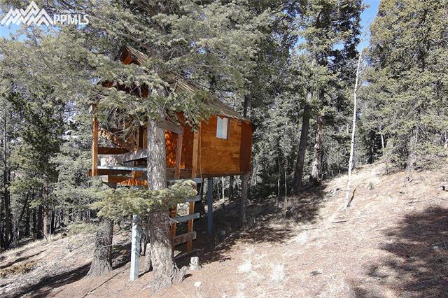 377 Ridge Road Divide, CO 80814 - Photo 28 of 35 Playhouse in the yard