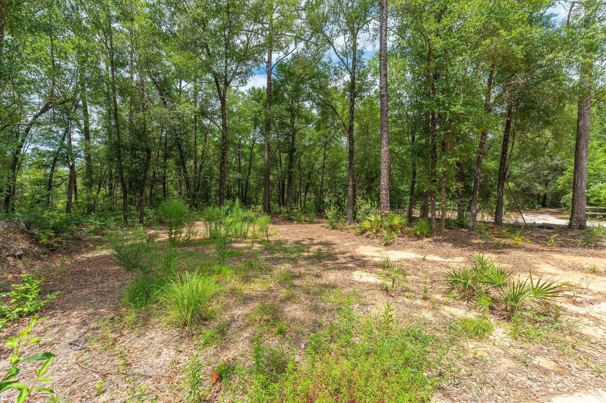 330 Dove Run Road Holt, FL 32564 - Photo 18 of 25 a view of outdoor space with trees all around