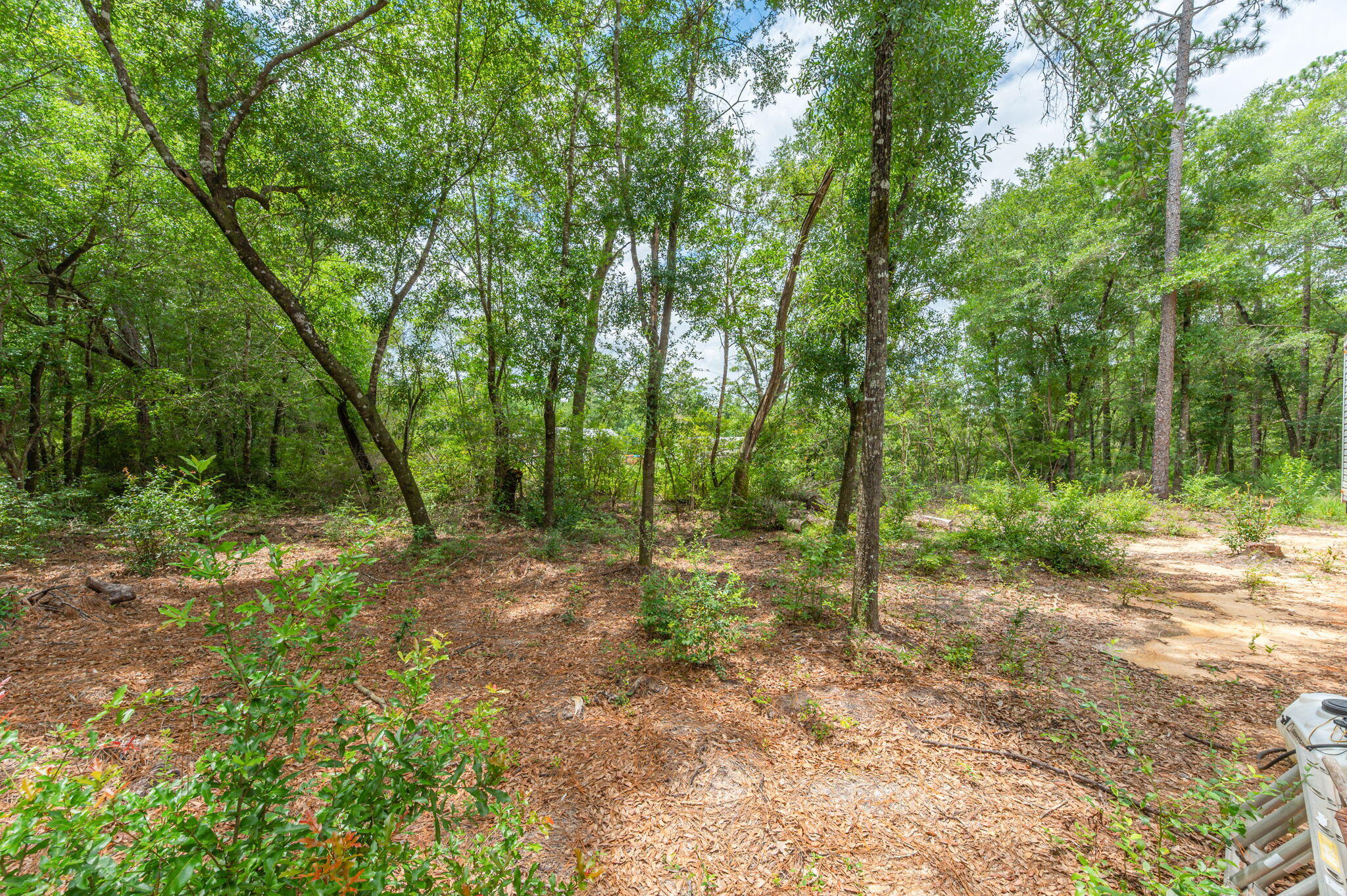 330 Dove Run Road Holt, FL 32564 - Photo 19 of 25 a view of a forest with trees in the background