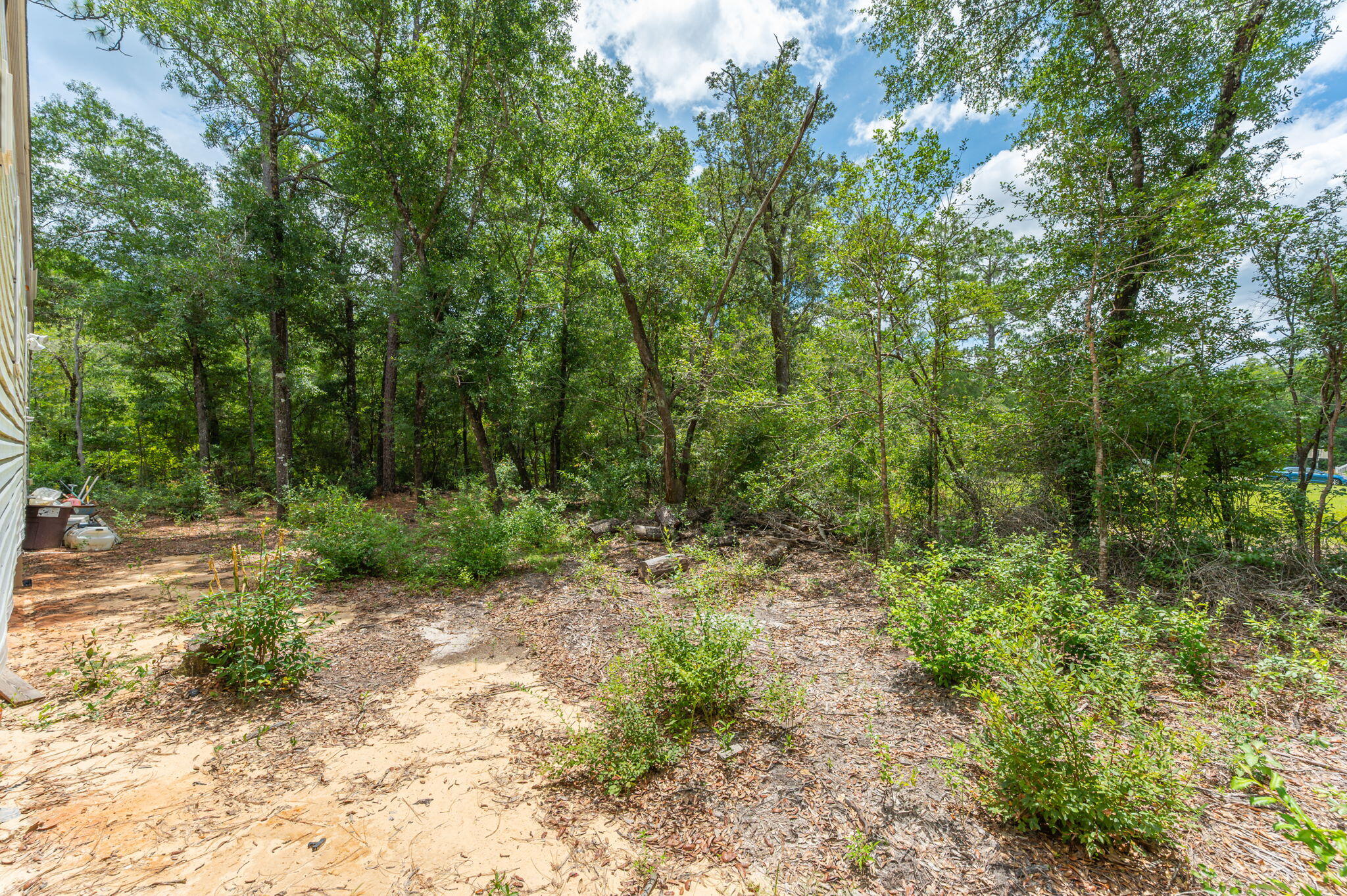 330 Dove Run Road Holt, FL 32564 - Photo 20 of 25 a view of a yard with plants and large trees