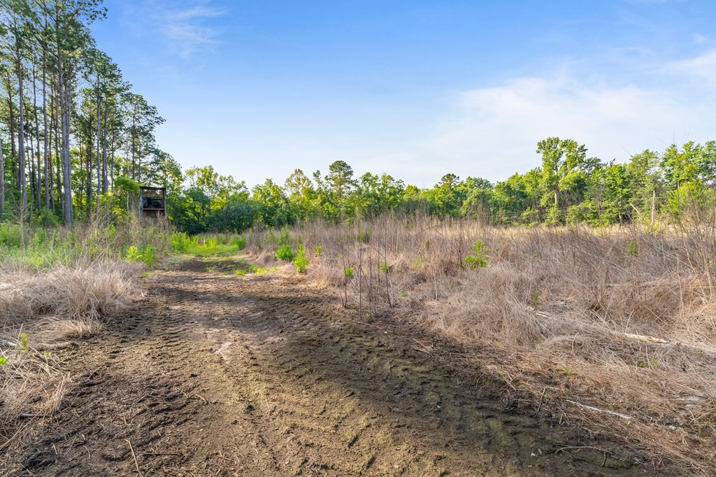 3623 Homestead Road Bowman, SC 29018 - Photo 34 of 34 Photo 34