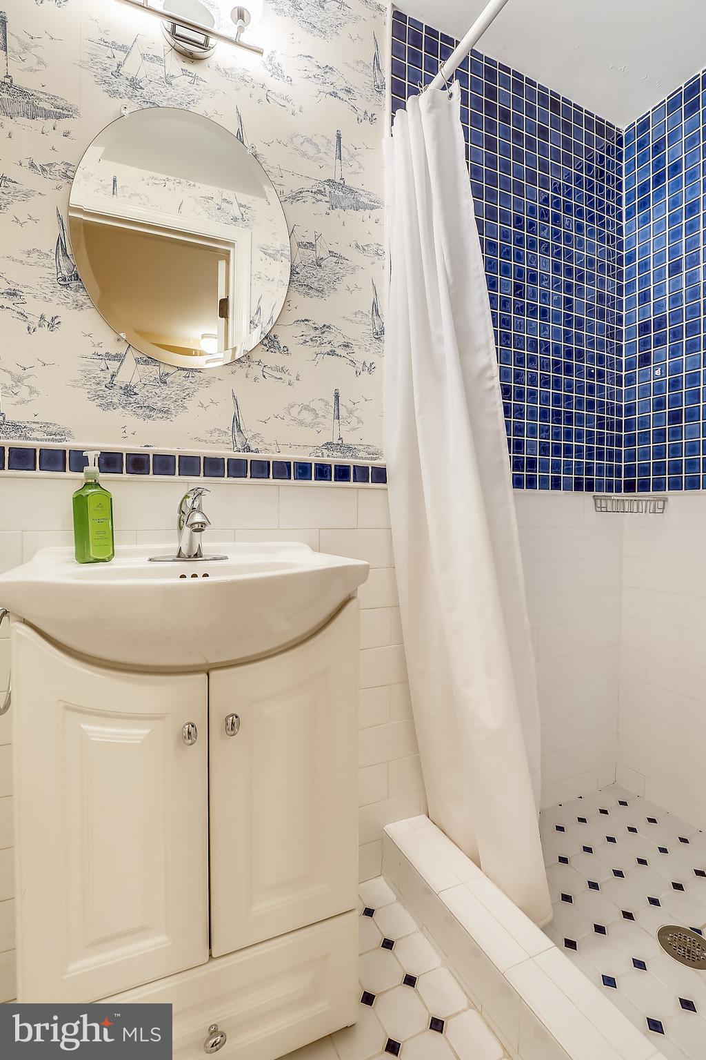 9102 Fairview Road Silver Spring, MD 20910 - Photo 30 of 57 Full Bath #3
