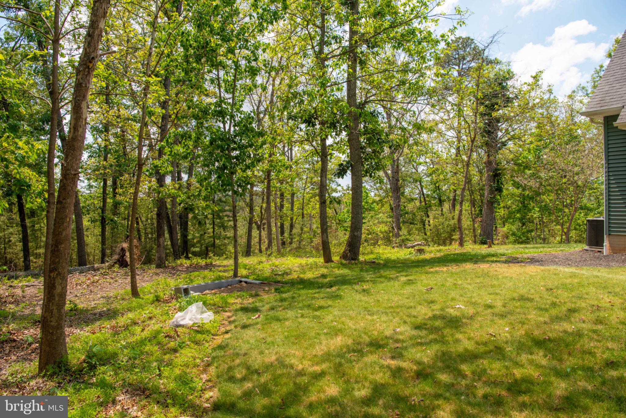 792 Forest Glen Road Moorefield, WV 26836 - Photo 117 of 146 Serene wooded retreat awaits you.