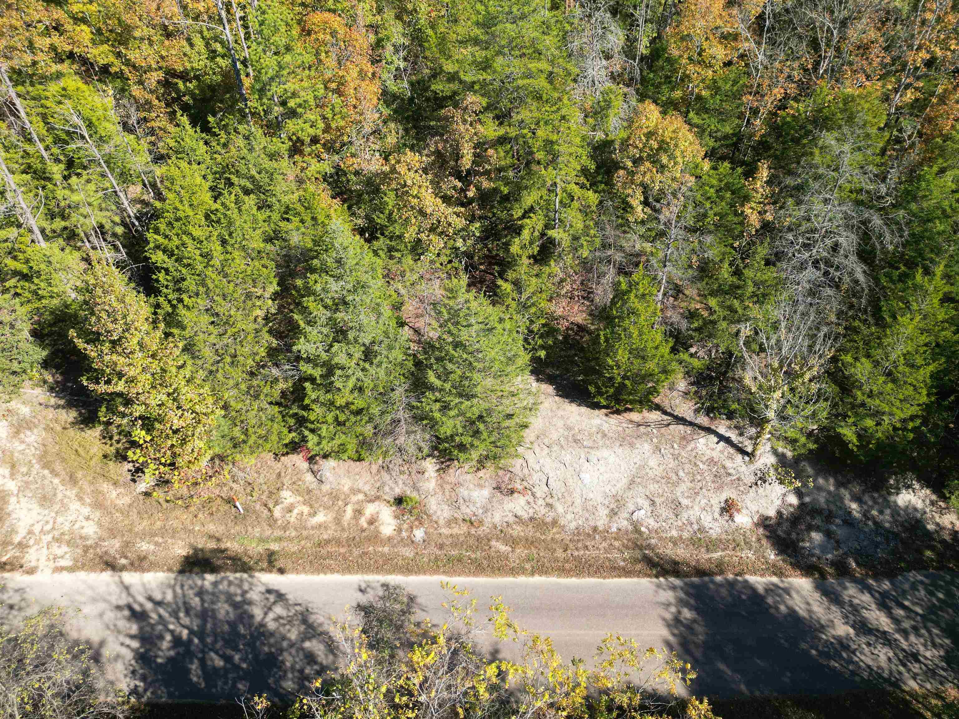 5 Cherry Chapel Loop Savannah, TN 38372 - Photo 1 of 18 a view of a yard with a tree