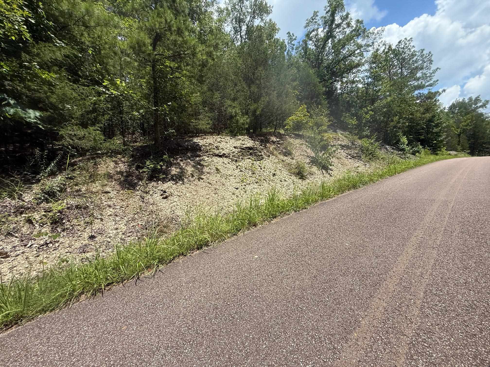 5 Cherry Chapel Loop Savannah, TN 38372 - Photo 11 of 18 a view of a road with a yard