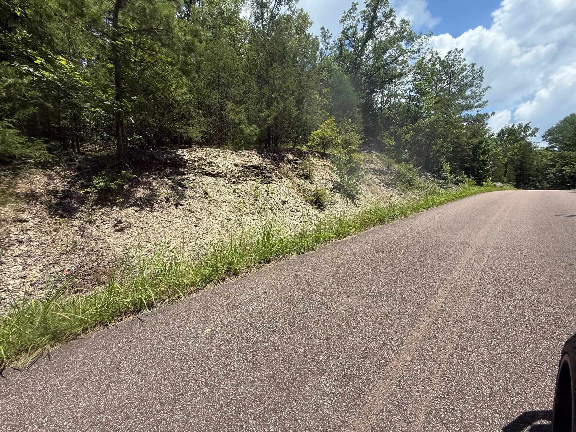 5 Cherry Chapel Loop Savannah, TN 38372 - Photo 12 of 18 a view of a road with a trees in the background