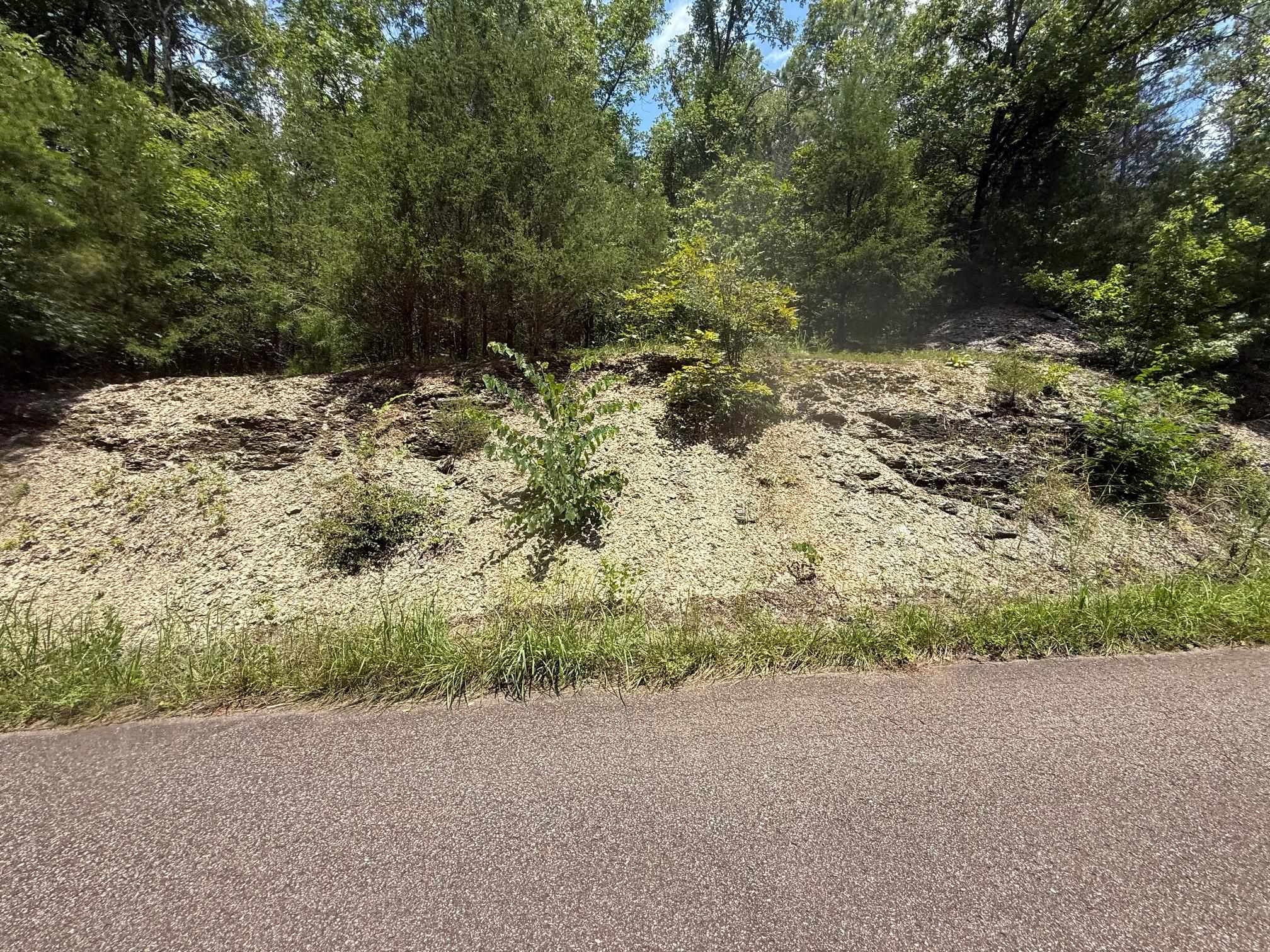 5 Cherry Chapel Loop Savannah, TN 38372 - Photo 13 of 18 a view of a dry yard with trees