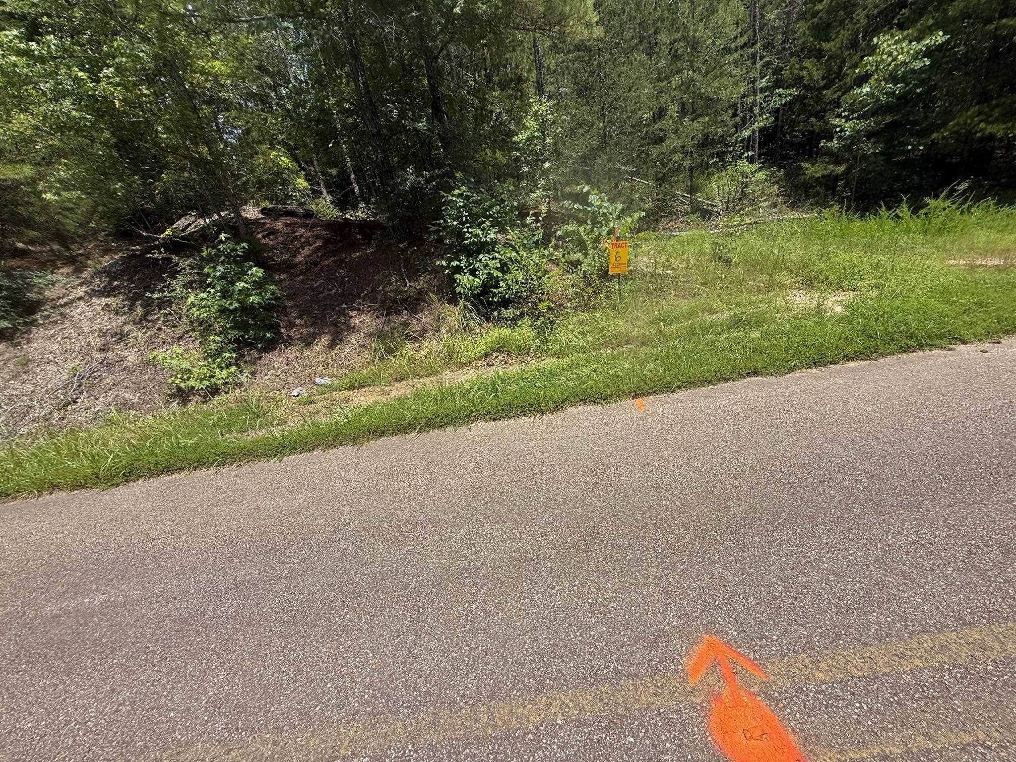 5 Cherry Chapel Loop Savannah, TN 38372 - Photo 14 of 18 a view of a road with a yard