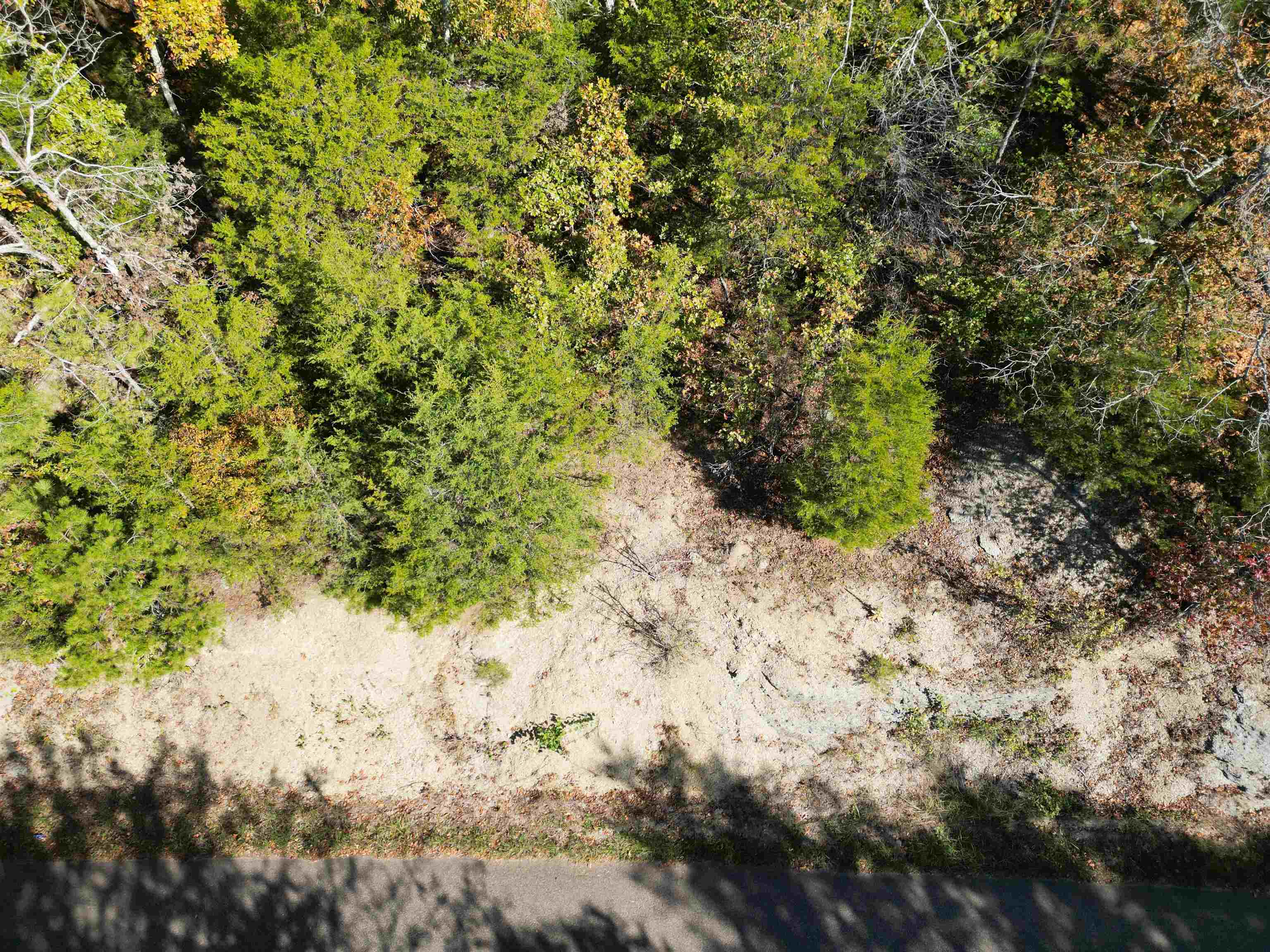 5 Cherry Chapel Loop Savannah, TN 38372 - Photo 16 of 18 a view of a yard with a tree