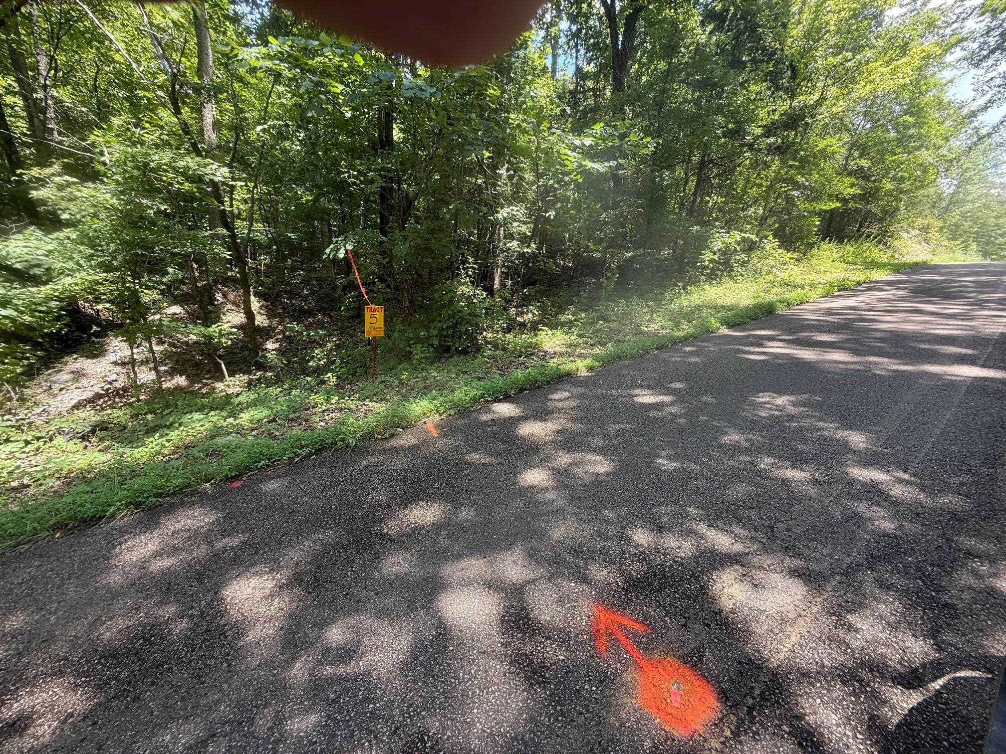 5 Cherry Chapel Loop Savannah, TN 38372 - Photo 2 of 18 a backyard of a house with lots of green space