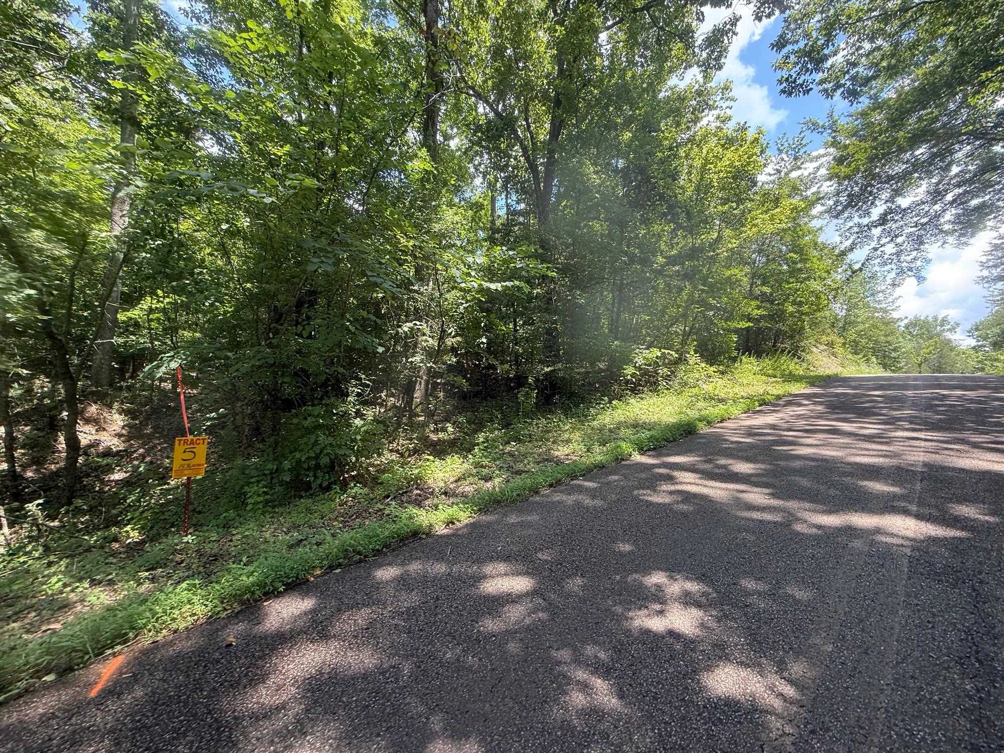 5 Cherry Chapel Loop Savannah, TN 38372 - Photo 4 of 18 a view of a yard with plants and trees
