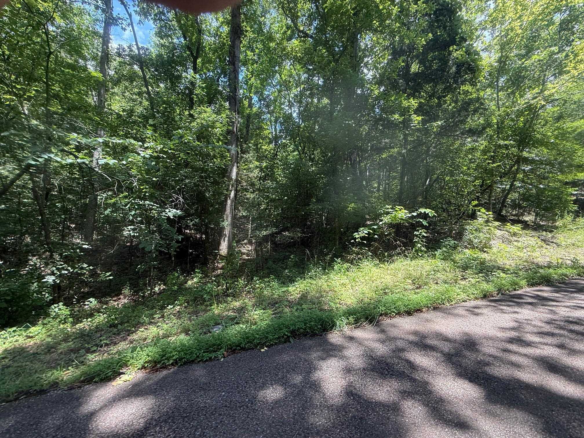 5 Cherry Chapel Loop Savannah, TN 38372 - Photo 5 of 18 a view of a yard with plants and a tree