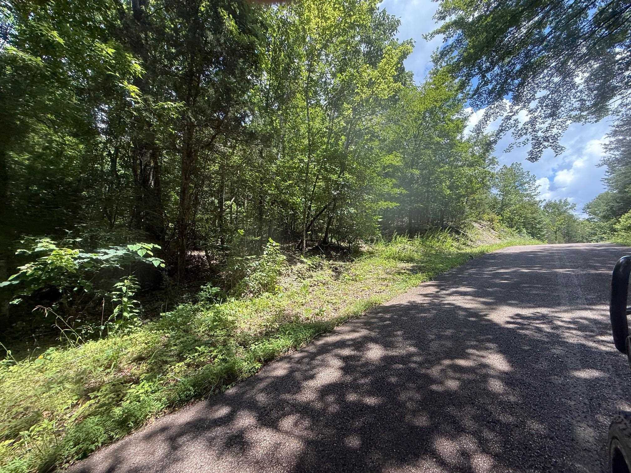 5 Cherry Chapel Loop Savannah, TN 38372 - Photo 6 of 18 a view of outdoor space and yard