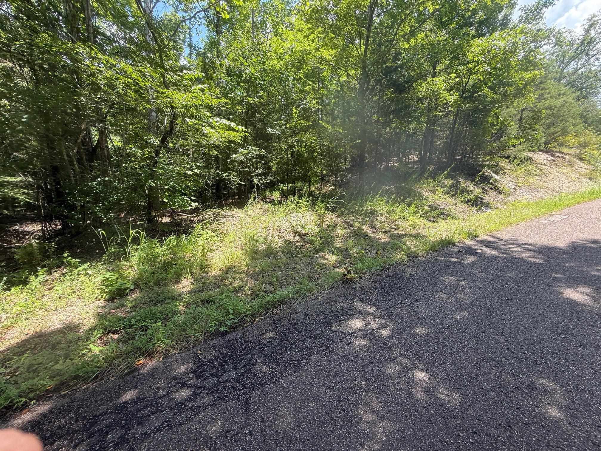 5 Cherry Chapel Loop Savannah, TN 38372 - Photo 7 of 18 a view of a yard with a tree