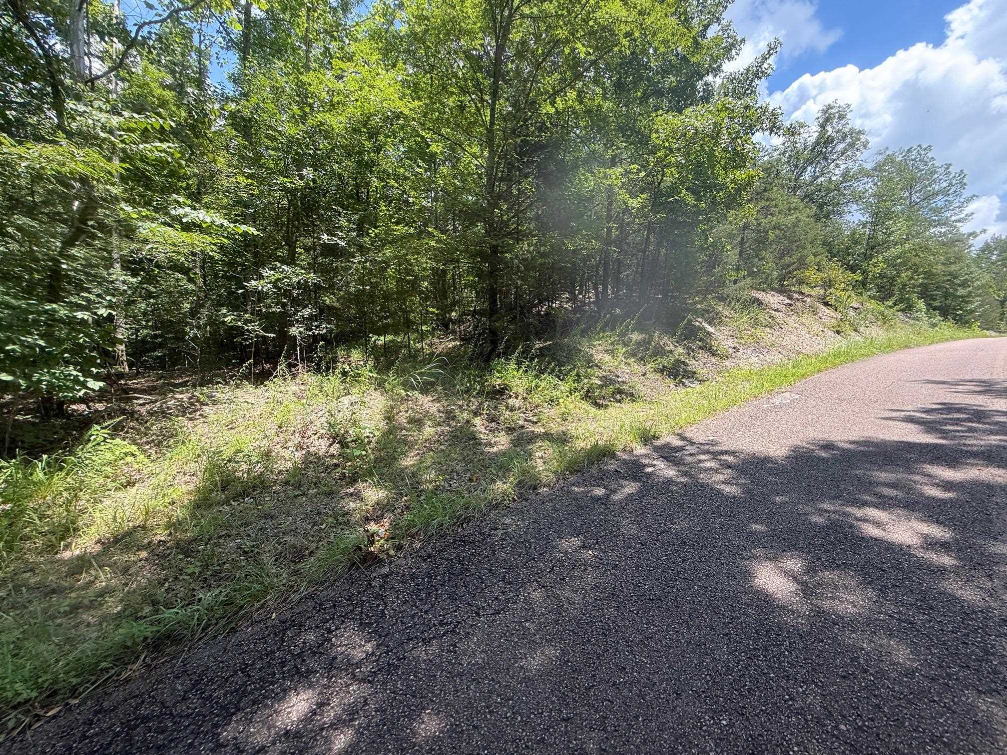 5 Cherry Chapel Loop Savannah, TN 38372 - Photo 8 of 18 a view of a yard with a tree