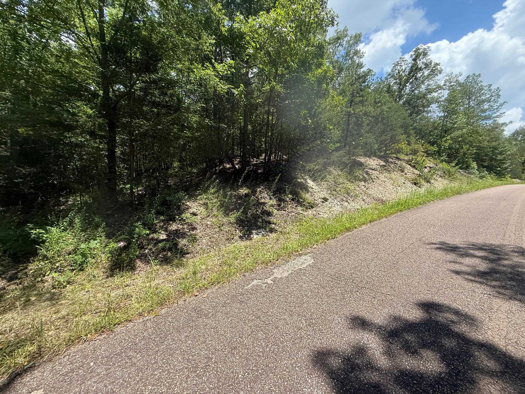 5 Cherry Chapel Loop Savannah, TN 38372 - Photo 9 of 18 a view of a yard with plants and a bench under large trees