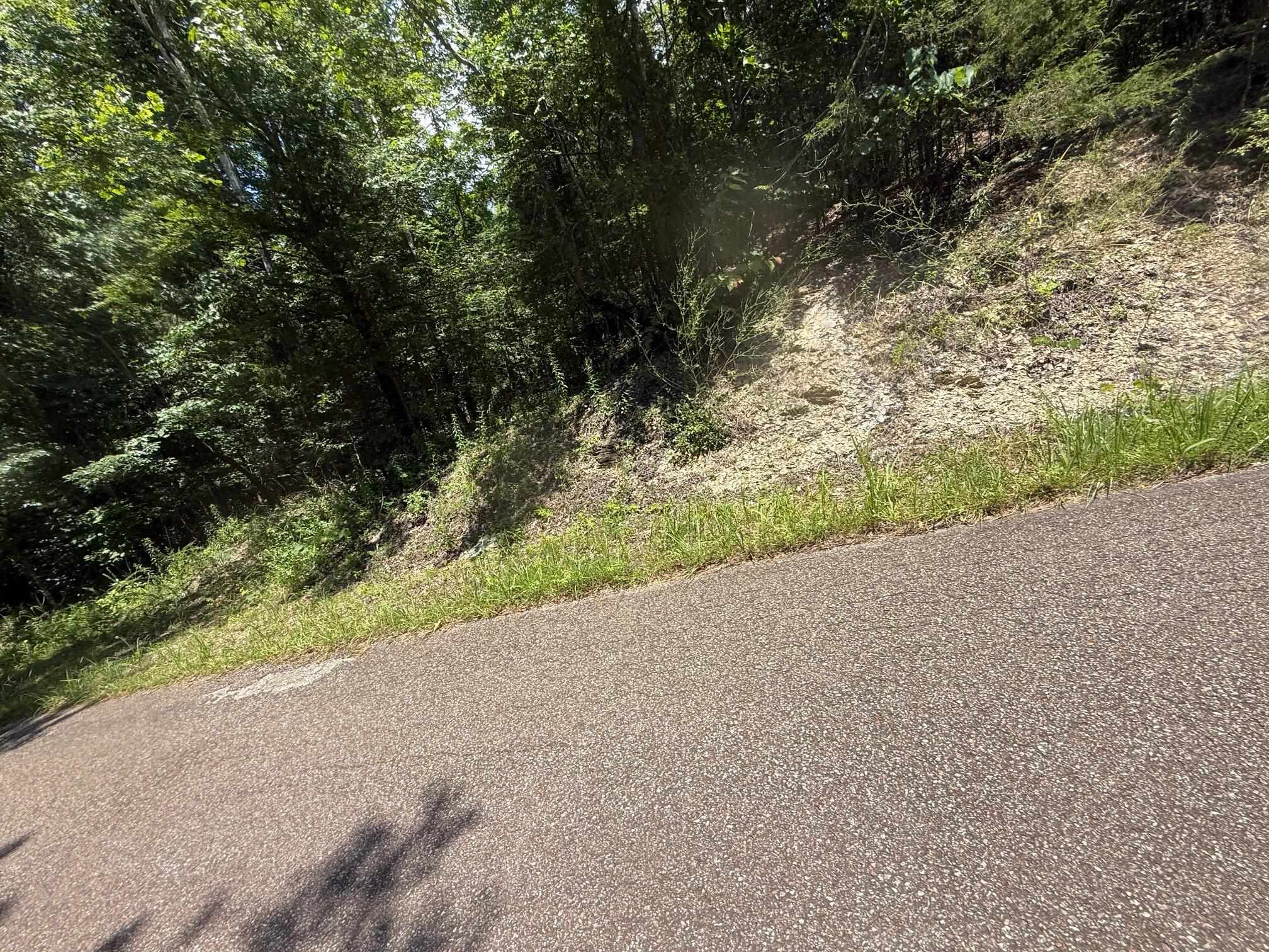 5 Cherry Chapel Loop Savannah, TN 38372 - Photo 10 of 18 a view of a road with a trees