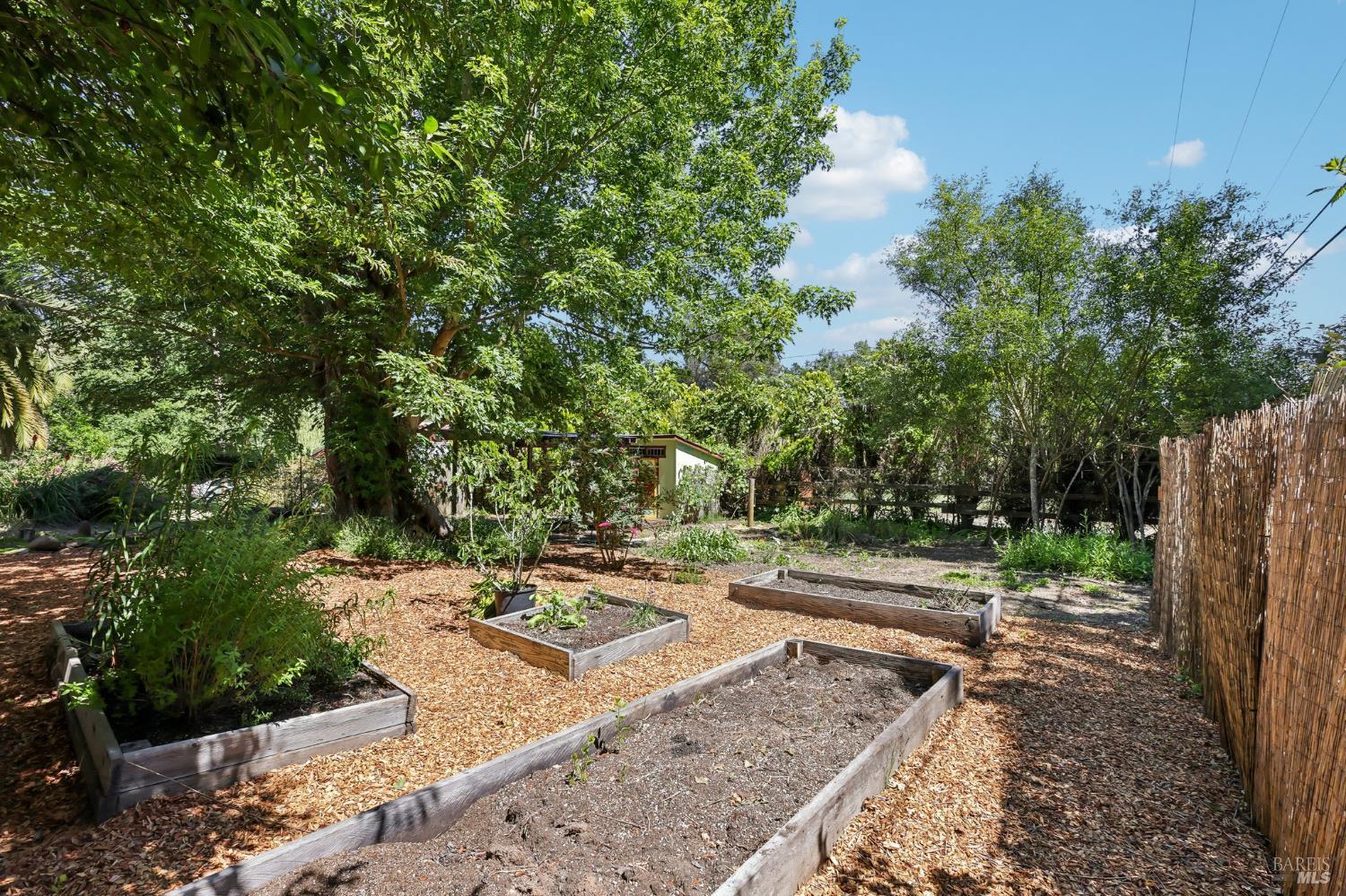 2087 Blucher Valley Road Sebastopol, CA 95472 - Photo 54 of 73