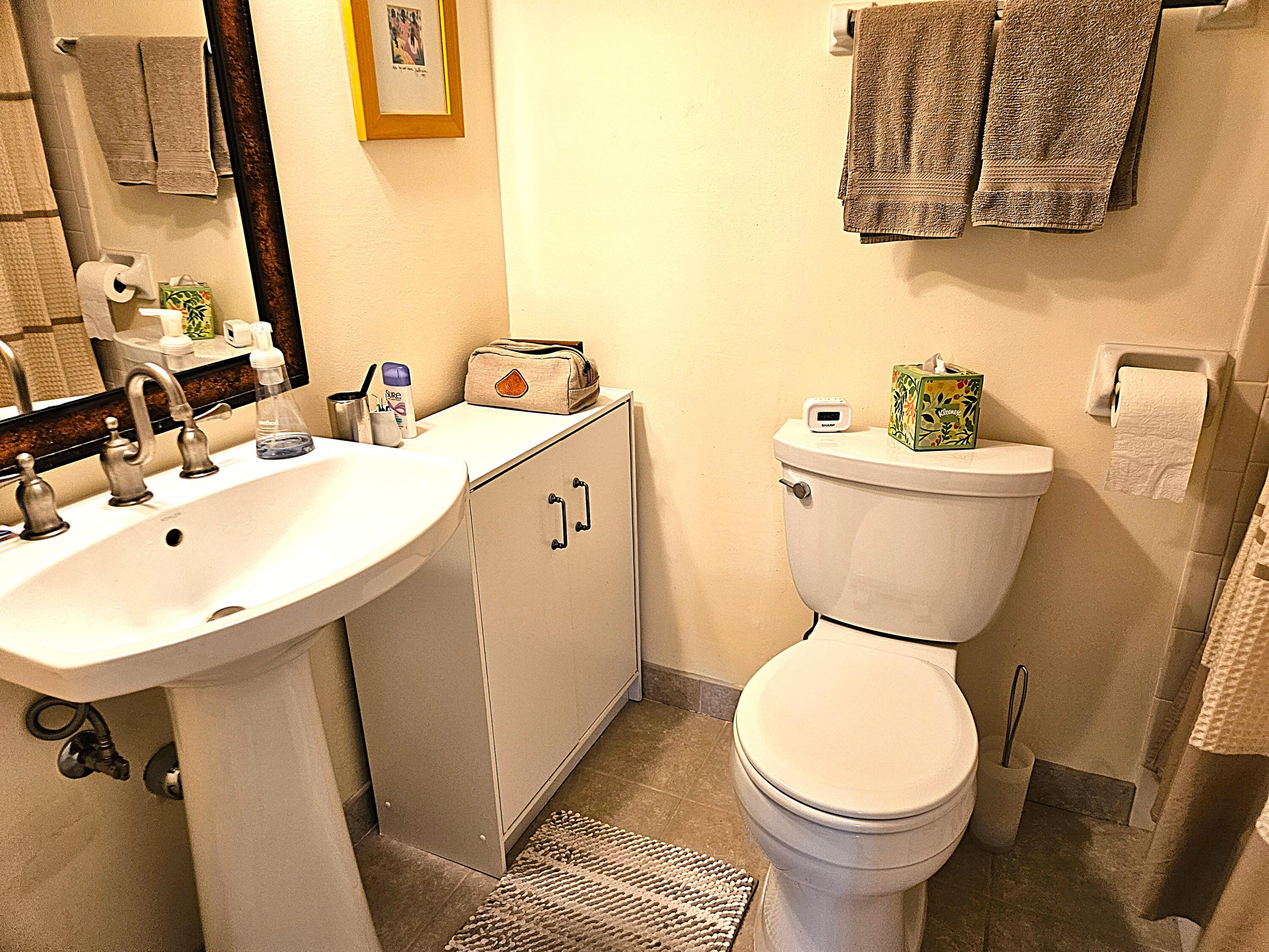 2150 Good Hope Road, Unit 201 Glendale, WI 53209 - Photo 16 of 23 Bathrom 2
