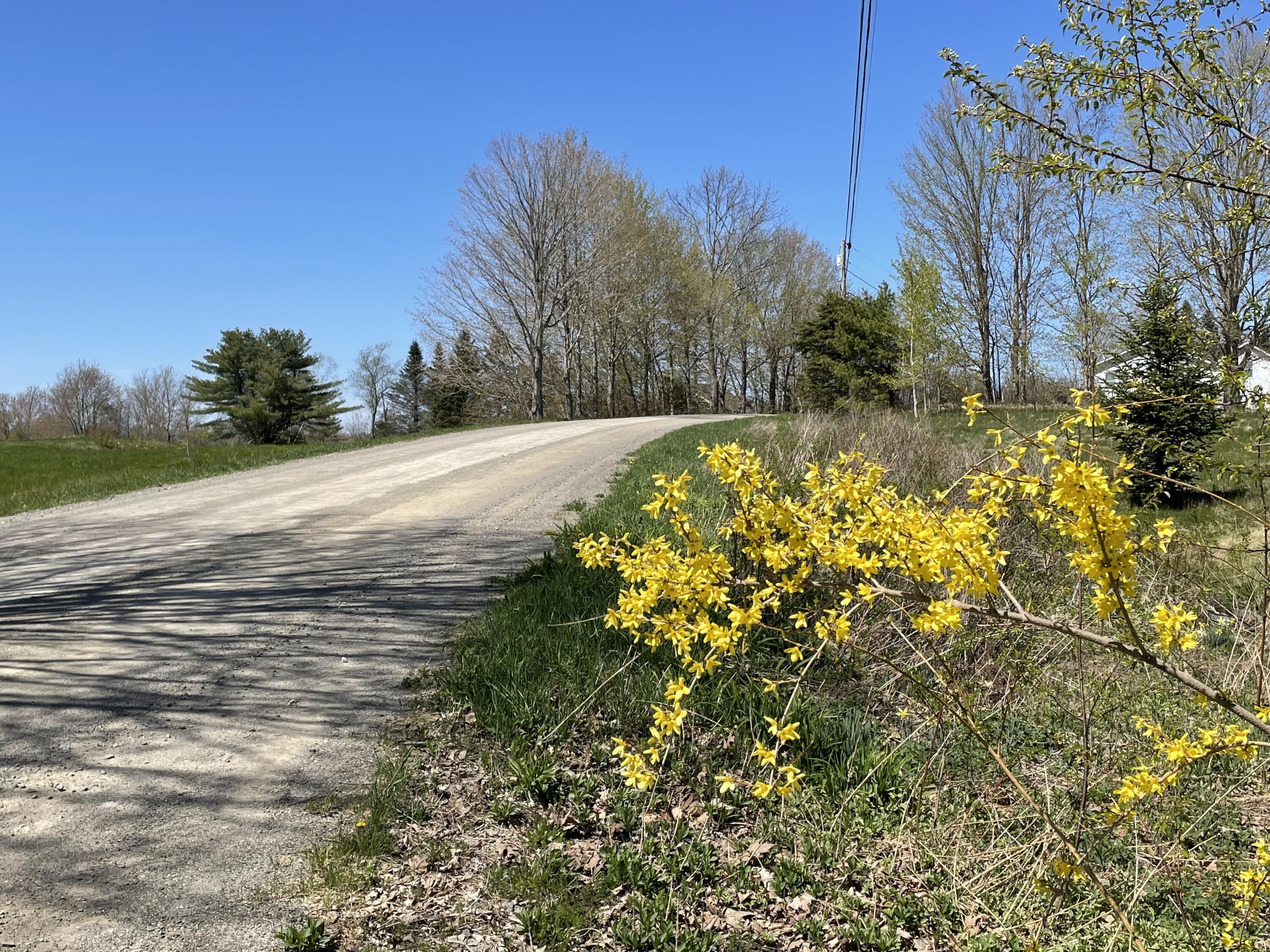 74 Marks Road Albion, ME 04910 - Photo 3 of 28 2 Marks Raoad