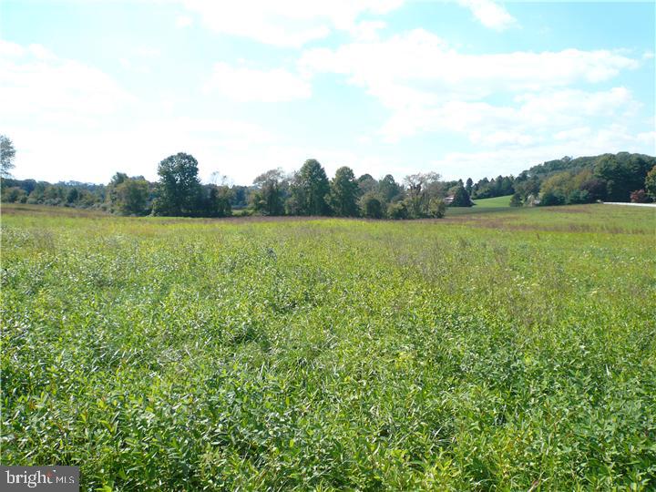 629 Bayard Road Kennett Square, PA 19348 - Photo 5 of 9 Gallery Image 5