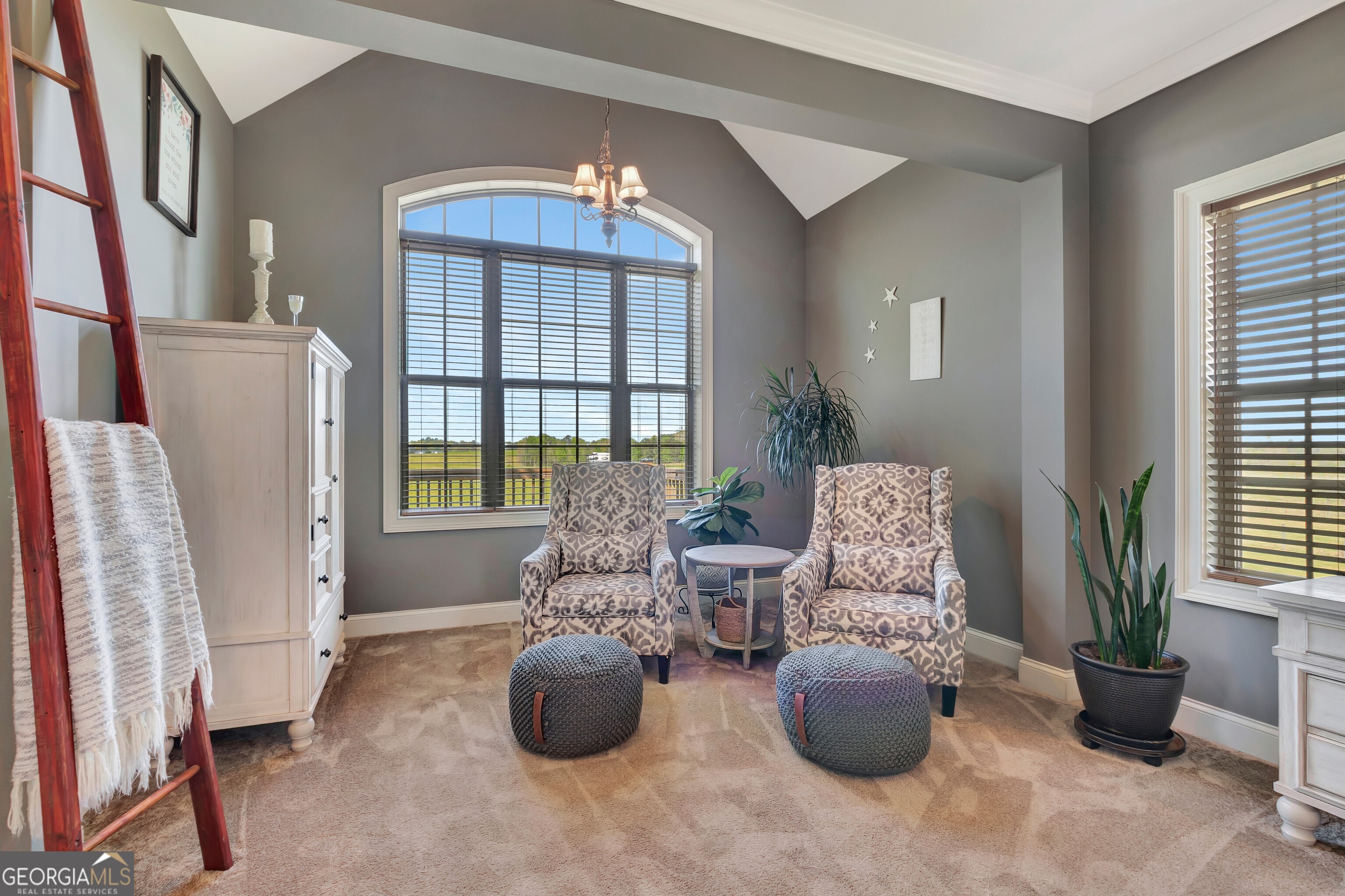 357 Brooks Road Brooks, GA 30205 - Photo 19 of 64 a living room with furniture and a potted plant