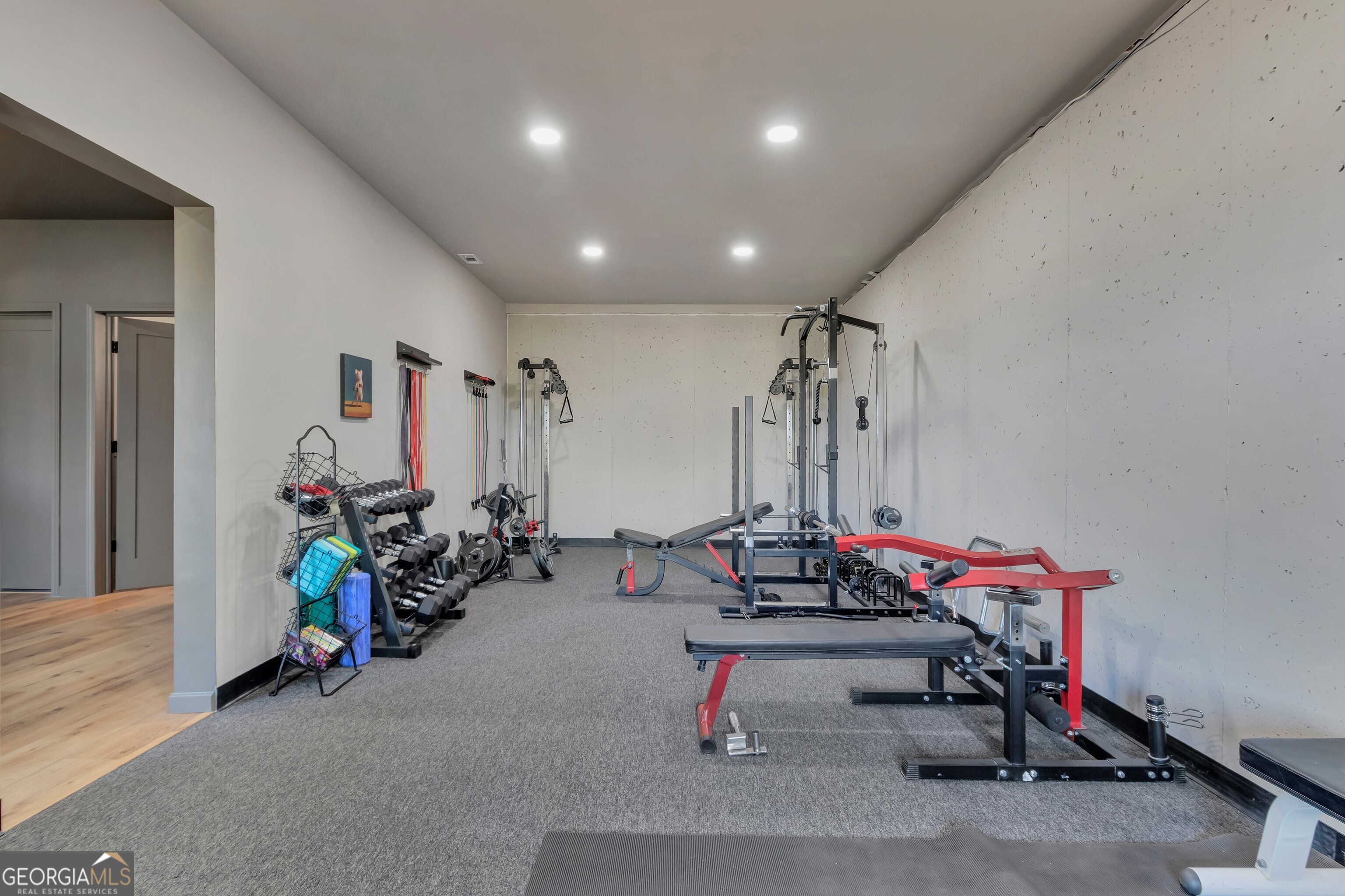 357 Brooks Road Brooks, GA 30205 - Photo 33 of 64 a view of a room with gym equipment