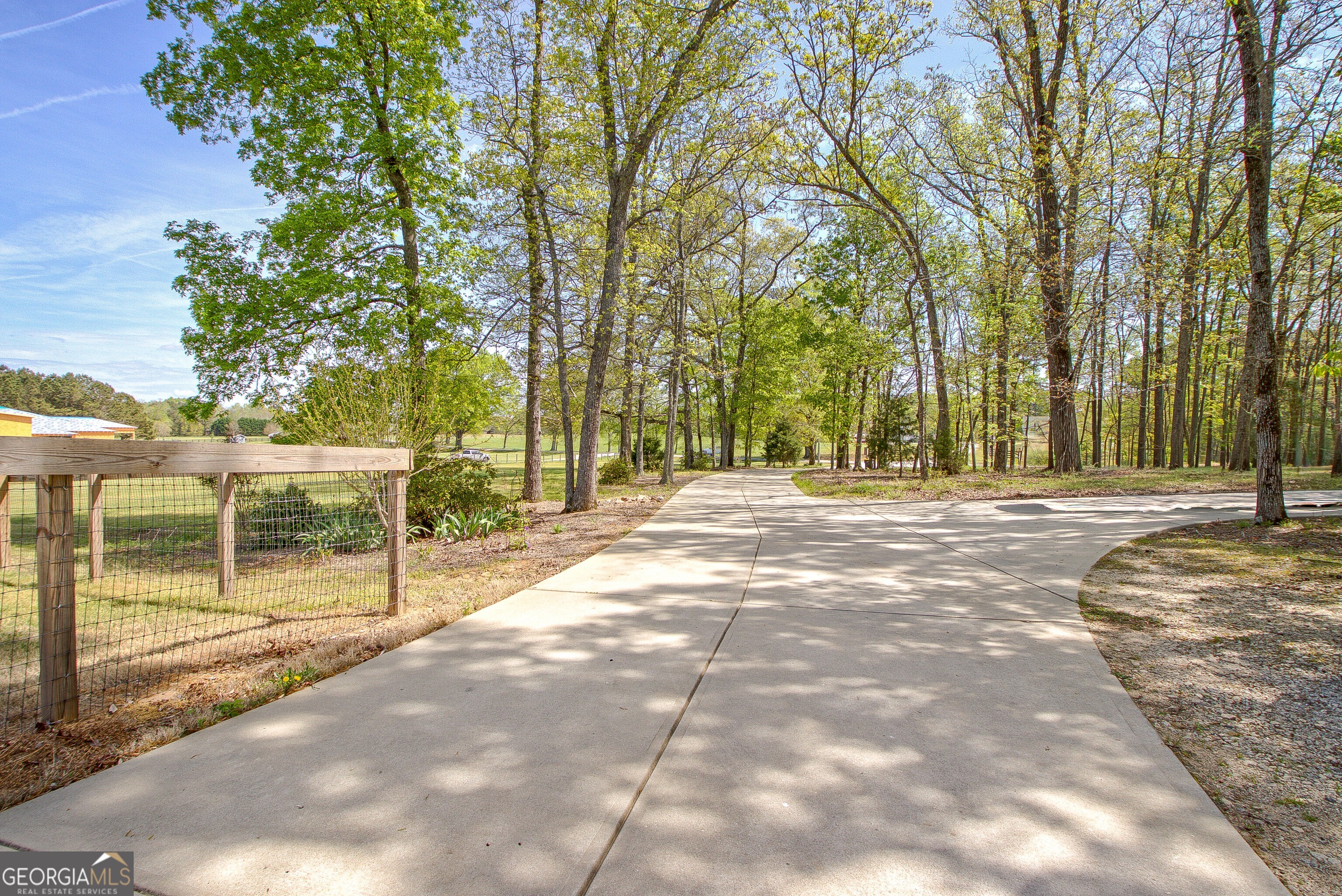 357 Brooks Road Brooks, GA 30205 - Photo 53 of 64 a view of backyard with large trees