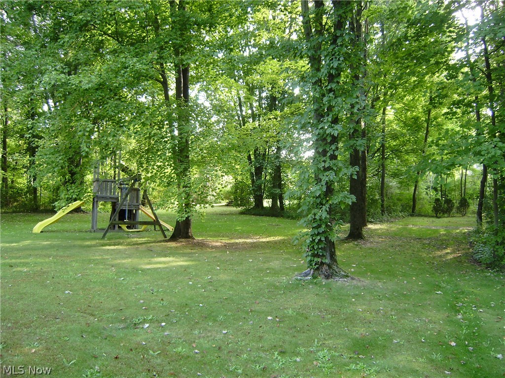 550 Killinger Road Clinton, OH 44216 - Photo 27 of 29 550 Killinger Rd Clinton OH 44216 Wooded Back Yard