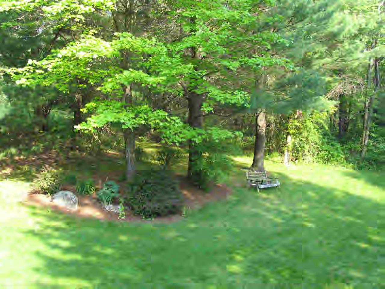 11 Rattlesnake Mountain Road Stockbridge, MA 01262 - Photo 6 of 6 a view of backyard with green space
